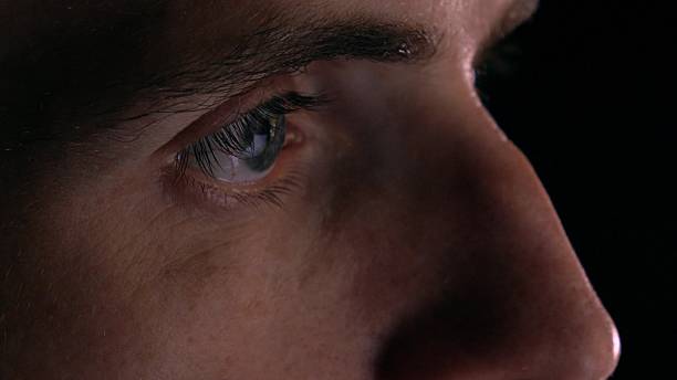 istock Gray eyes of intelligent young man using his tablet computer 622182332