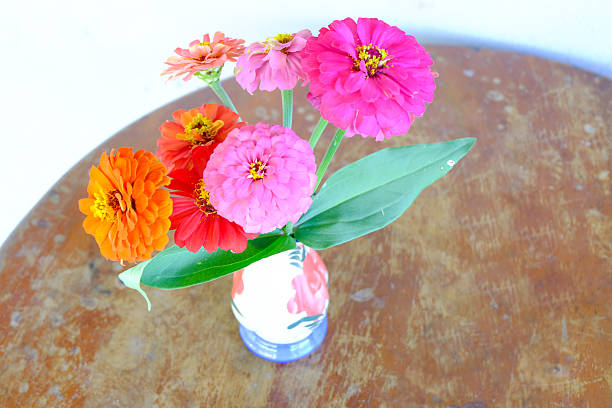 zinnia flower in a vase
