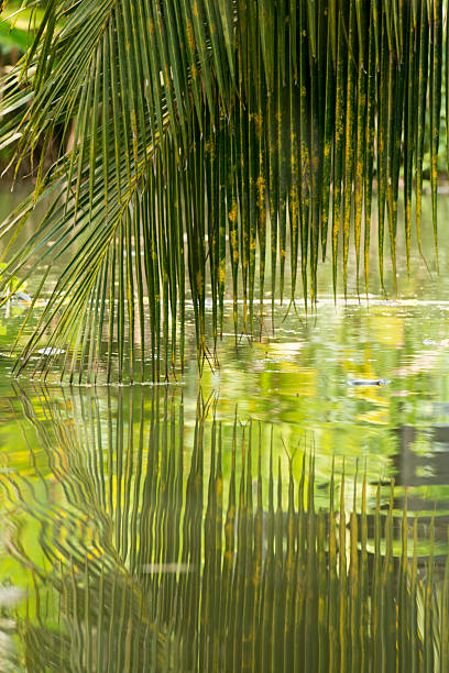 istock ASIA THAILAND SAMUT SONGKHRAM THA KHA LANDSCAPE 622191200