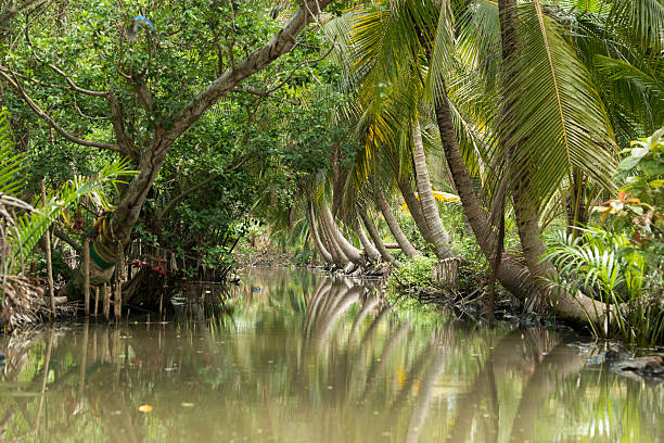 istock ASIA THAILAND SAMUT SONGKHRAM THA KHA LANDSCAPE 622191546