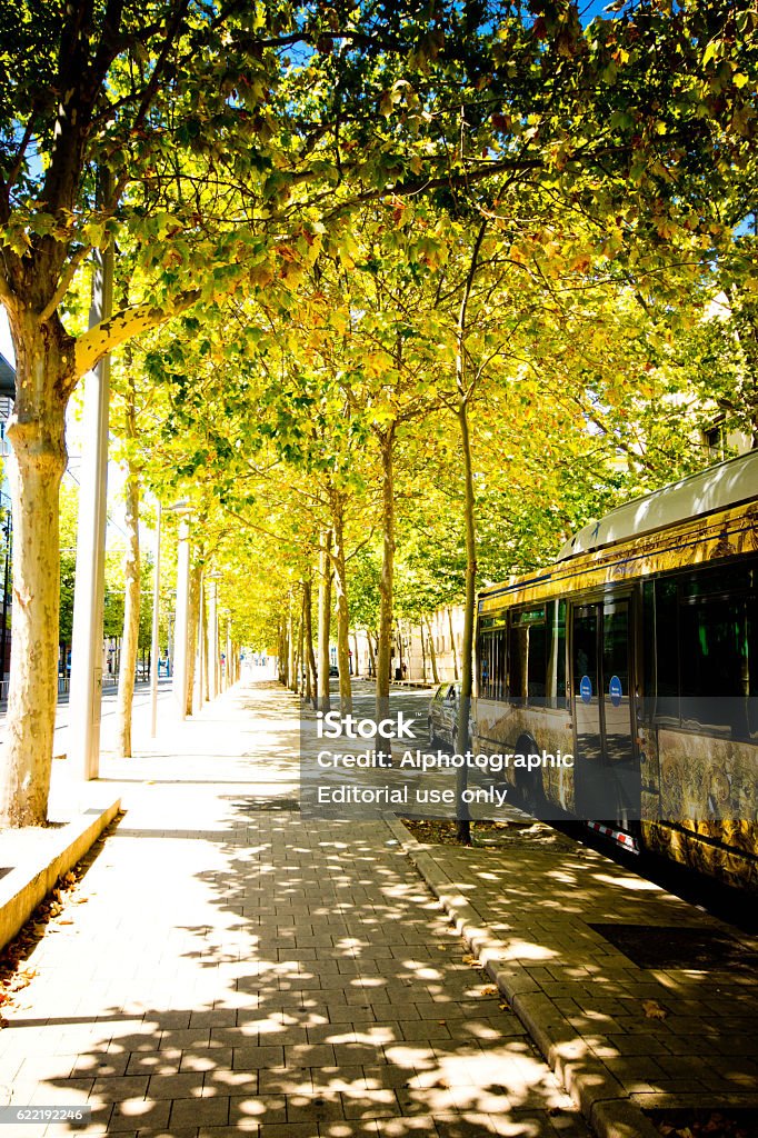 Bus in Montpellier Montpellier, France - August 5, 2015: Bus beside a pavement with rows of trees providing shade in Montpellier, France.  2015 Stock Photo