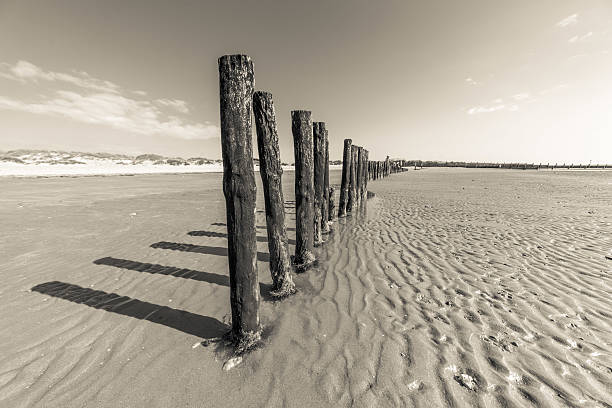 istock Low tide at West Wittering beach 622193388