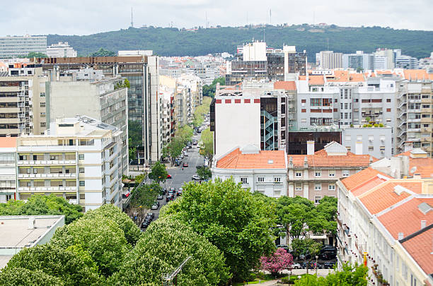 istock Trees in the city 622193986