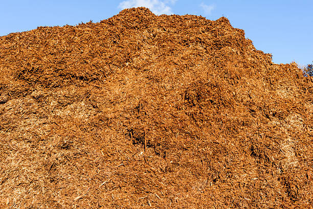 istock Pile of wood chips fuel 622194344