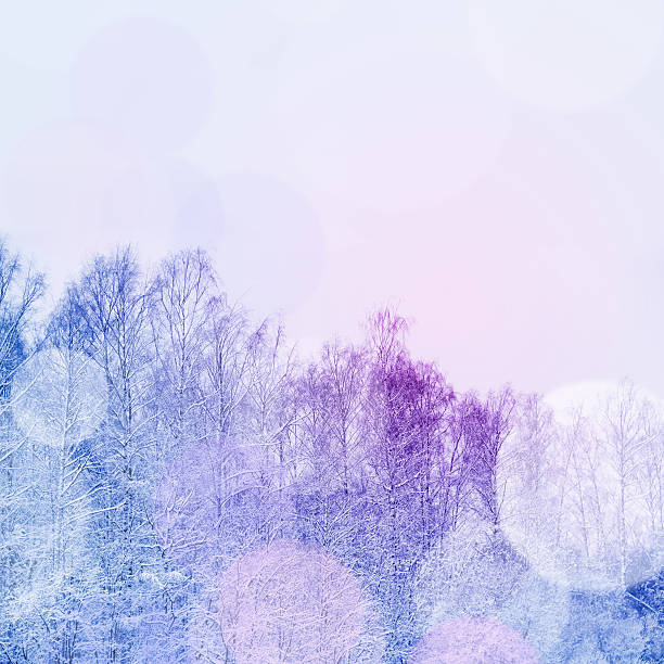 istock Winter park in snow 622195242