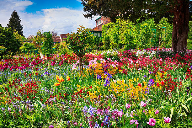 Spring garden, Giverny, France Spring garden, Giverny, France normandy photos stock pictures, royalty-free photos & images