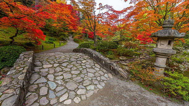 istock Stone bridge and sculpture lantern. Red maple. Bright autumn. 622199716