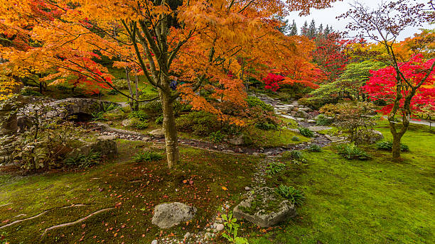 istock Japanese garden. Multi-colored trees. Bright autumn. 622199986