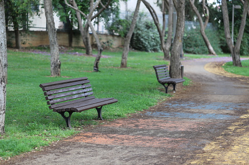 Two public park benches near a paved asphalt path for pedestrians and bicycles lane. Wooden benches in the park in front of lawn and trees. 