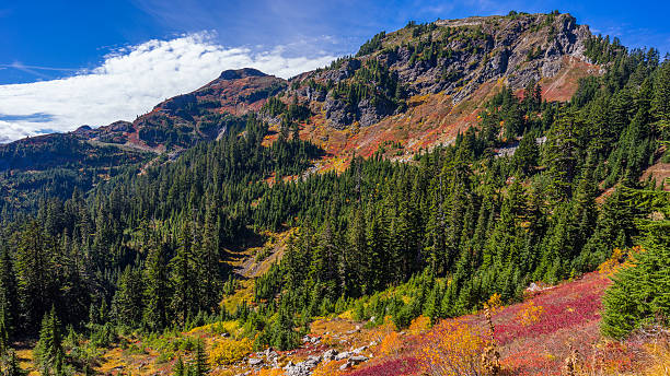 istock Bright autumn in the mountains. 622201178