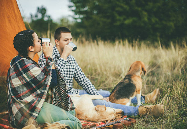 istock Drinking tea and playin with dogs 622201876