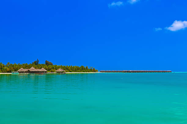 istock Tropical Maldives island 622202646