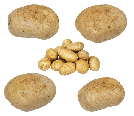 collection potatoes isolated on white background