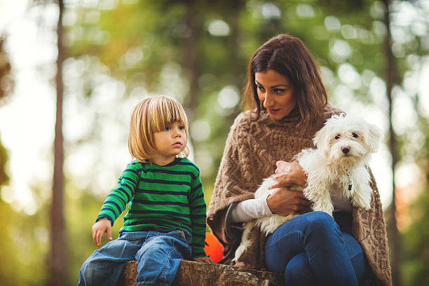 istock Lovely family in the park 622204706