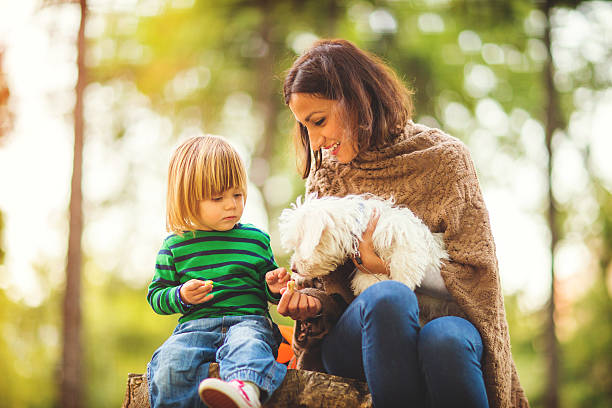 istock Family moments 622205142