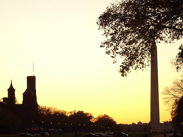 istock silhouette of the washington monument through the trees 622205696