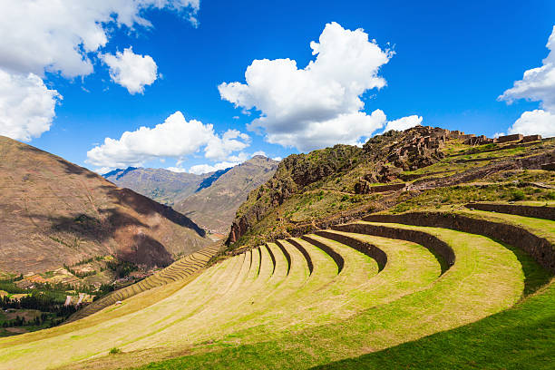 Inca Pisac, Peru Inca terraces in Pisac. It is a Peruvian village in the Sacred Valley. inca photos stock pictures, royalty-free photos & images