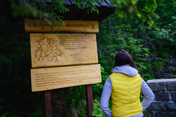 istock Female tourist standing on forest road 622208128