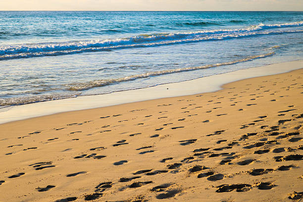 istock Footprints in the sand by the ocean 622208546