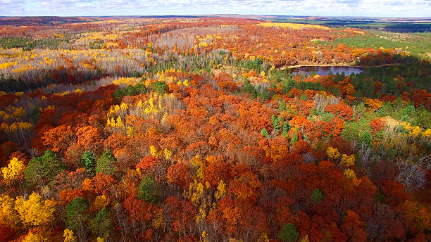 istock Amazing Autumn colors of Michigan's Upper Peninsula 622208728