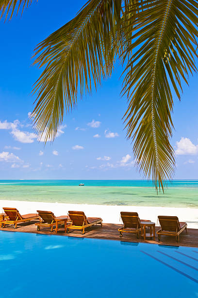 istock Loungers and pool on Maldives beach 622214026