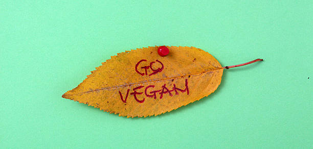 istock autumn walnut leaves with handwritten text 622214052
