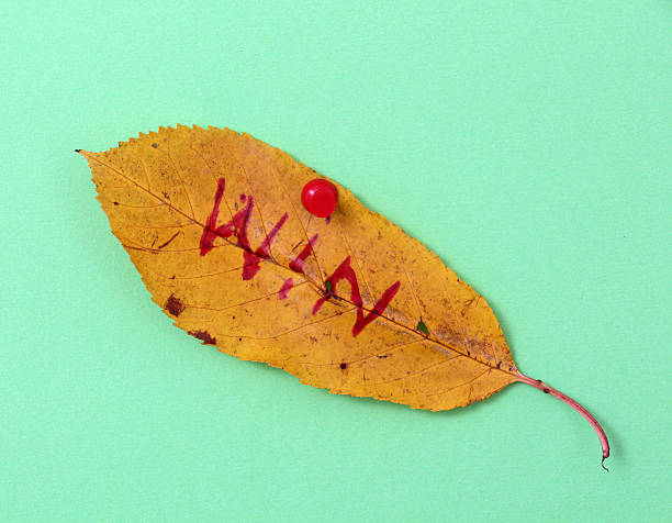 istock autumn walnut leaves with handwritten text 622214054