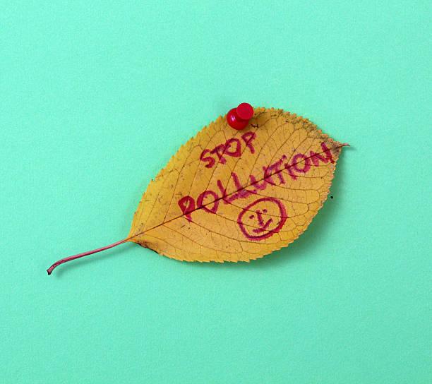 istock autumn walnut leaves with handwritten text 622214056