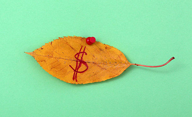 istock autumn walnut leaves with handwritten text 622214058