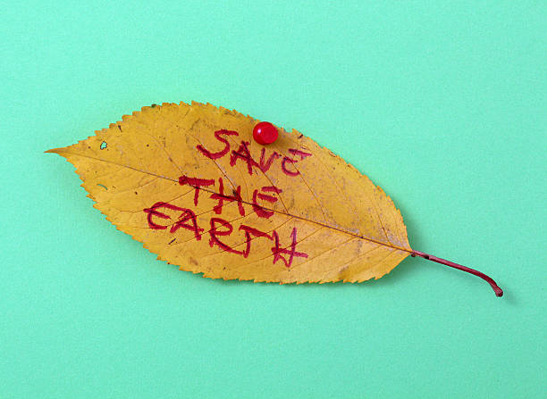 istock autumn walnut leaves with handwritten text 622214082