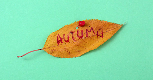 istock autumn walnut leaves with handwritten text 622214106
