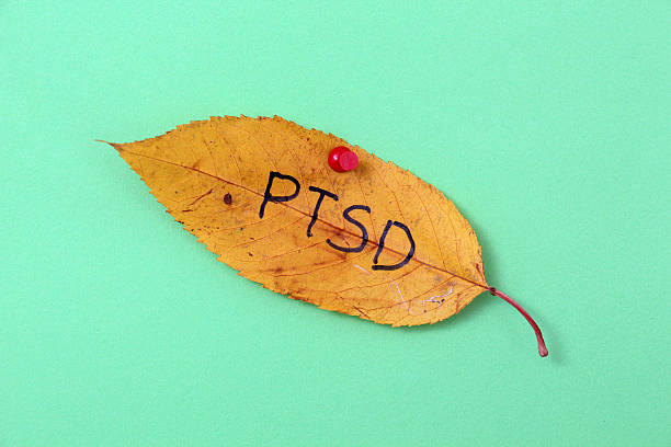 istock autumn walnut leaves with handwritten text ptsd 622214112