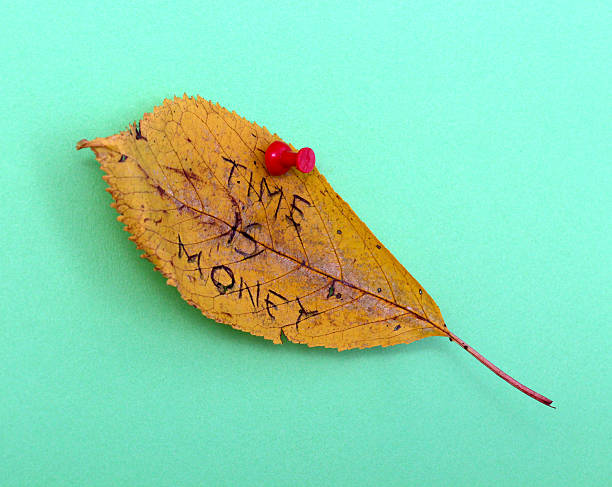 istock autumn walnut leaves with handwritten text 622214120