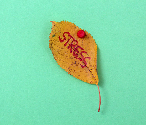 istock autumn walnut leaves with handwritten text 622214122