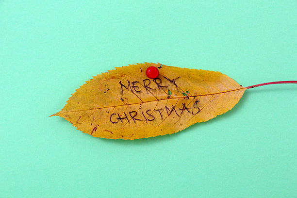 istock autumn walnut leaves with handwritten text 622214136
