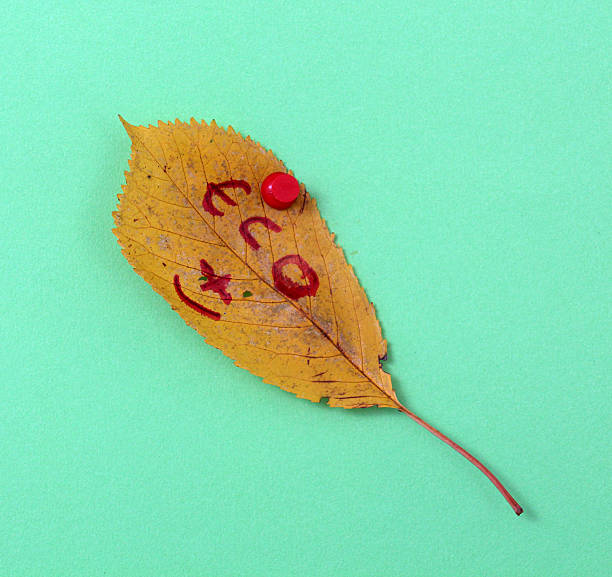 istock autumn walnut leaves with handwritten text 622214148