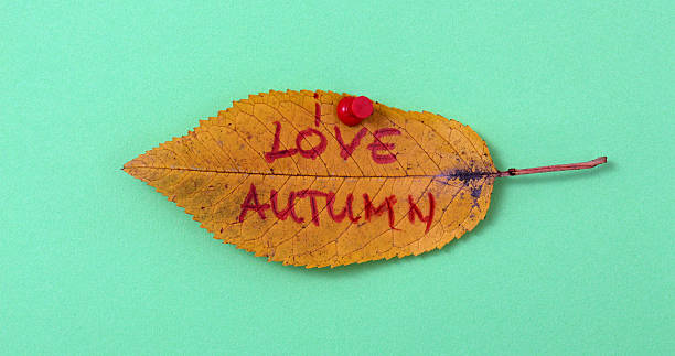 istock autumn walnut leaves with handwritten text 622214164