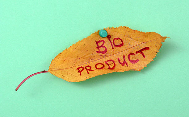 istock autumn walnut leaves with handwritten text 622214172