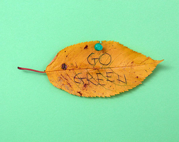istock autumn walnut leaves with handwritten text 622214188