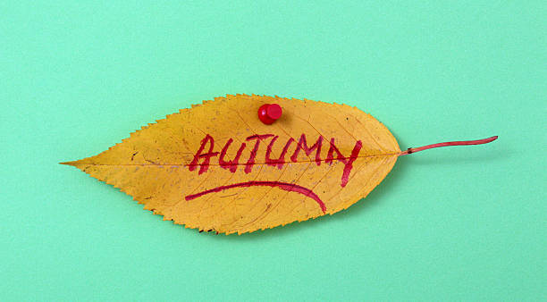 istock autumn walnut leaves with handwritten text 622214224