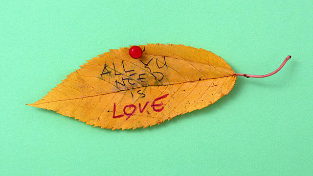 autumn walnut leaves with handwritten text