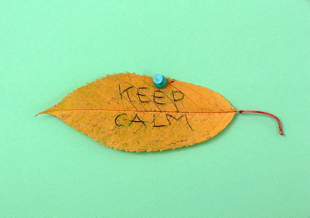 istock autumn walnut leaves with handwritten text 622214256