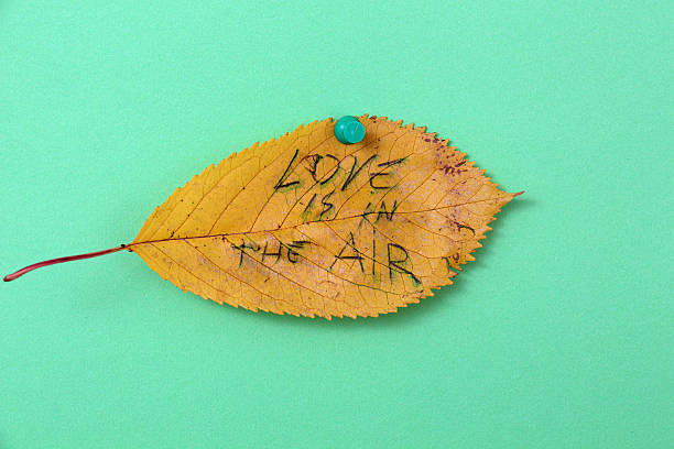 istock autumn walnut leaves with handwritten text 622214278
