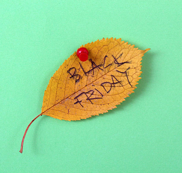 istock autumn walnut leaves with handwritten text 622214314