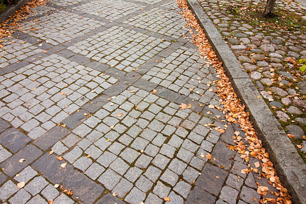 istock Autumn leaves on walkway in old museum district 622214556