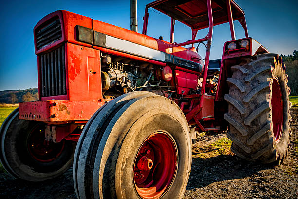 big red one - provender imagens e fotografias de stock