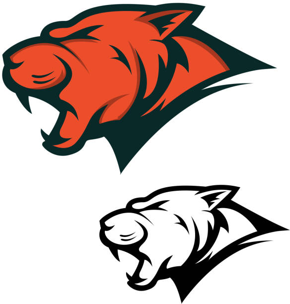 Angry Panther head with opened mouth. Sport team mascot Angry Panther head with opened mouth. Sport team mascot. Design element for label, emblem, sign, brand mark. Vector illustration. cartoon of a wildcats stock illustrations