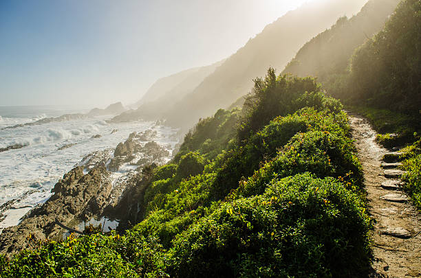 Tsitsikamma national park, Garden Route, South Africa Tsitsikamma national park Garden Route, Indian ocean landscape, near Plettenberg bay, South Africa, Eastern Cape. South african landscape landscape fog africa beauty in nature stock pictures, royalty-free photos & images