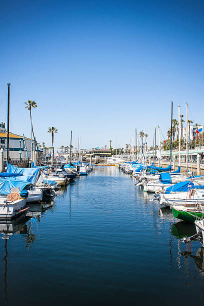istock Boats docked at marina 622220716