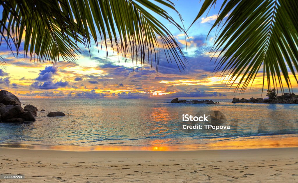 Tropical beach at sunset Tropical beach at sunset - nature background Beach Stock Photo